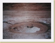 P1010086 * 2048 x 1536 * (642KB)