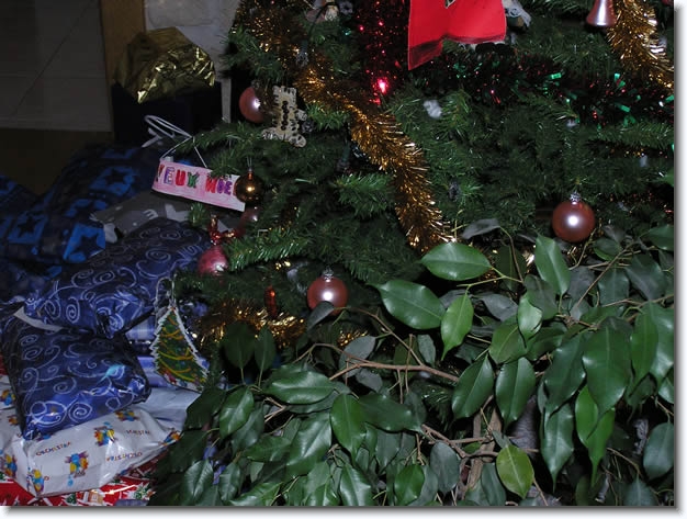 Diapositive suivante