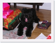 PC240030 * 614 x 461 * (64KB)