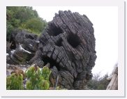 P1020171 * 614 x 461 * (68KB)