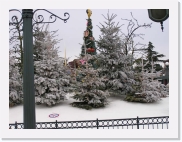 P1020196 * 614 x 461 * (72KB)