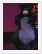 P1020237 * 461 x 614 * (60KB)