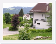 P1010201 * 614 x 461 * (73KB)