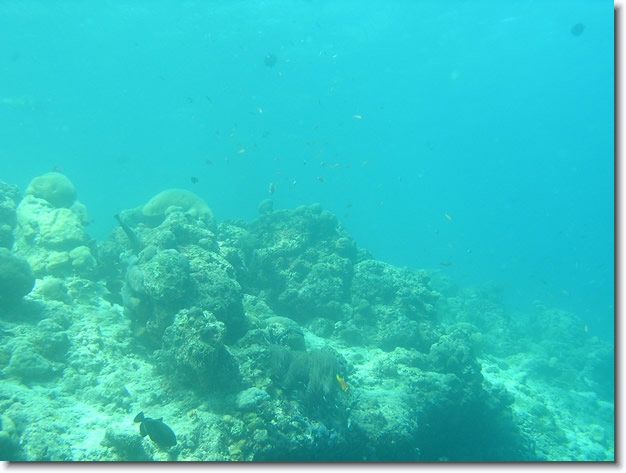 Diapositive suivante