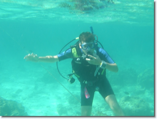 Diapositive suivante