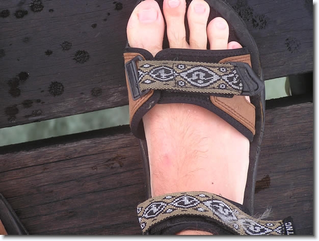 Diapositive suivante