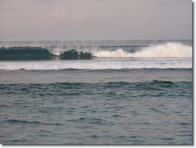 Diapositive suivante