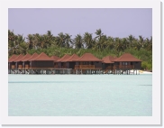 1010020 * 614 x 461 * (58KB)