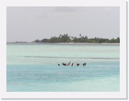 1010024 * 614 x 461 * (44KB)