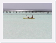 1010025 * 614 x 461 * (45KB)