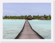 1010031 * 614 x 461 * (50KB)