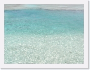 1010033 * 614 x 461 * (49KB)