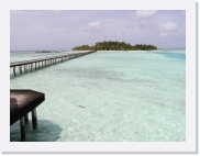 1010034 * 614 x 461 * (52KB)