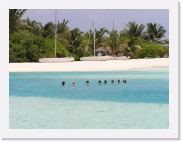 1010047 * 614 x 461 * (59KB)