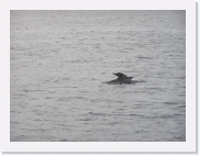 D1010227 * 614 x 461 * (61KB)