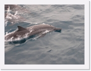 D1010232 * 614 x 461 * (52KB)