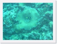 E1010014 * 614 x 461 * (70KB)