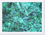 E1010020 * 614 x 461 * (82KB)