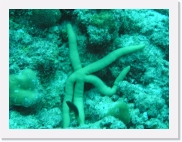 E1010021 * 614 x 461 * (73KB)