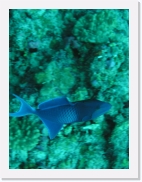 E1010022 * 461 x 614 * (68KB)