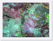 E1010023 * 614 x 461 * (85KB)