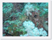 E1010024 * 614 x 461 * (80KB)