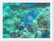 E1010025 * 614 x 461 * (77KB)