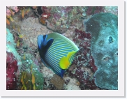 E1010027 * 614 x 461 * (83KB)