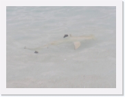 E1010046 * 614 x 461 * (37KB)