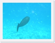 E1010124 * 614 x 461 * (47KB)