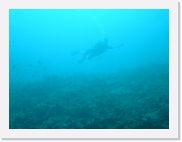 E1010135 * 614 x 461 * (46KB)