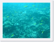 E1010138 * 614 x 461 * (63KB)