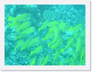 E1010140 * 614 x 461 * (74KB)