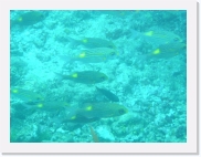 E1010143 * 614 x 461 * (66KB)