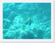 E1010145 * 614 x 461 * (60KB)