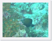 E1010149 * 614 x 461 * (66KB)