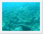 E1010153 * 614 x 461 * (67KB)