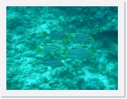 E1010162 * 614 x 461 * (73KB)