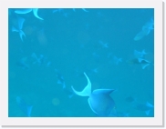 E1010164 * 614 x 461 * (25KB)