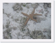 E1010178 * 614 x 461 * (60KB)