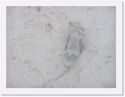 E1010189 * 614 x 461 * (57KB)