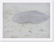 E1010198 * 614 x 461 * (51KB)