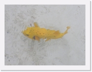 E1010225 * 614 x 461 * (56KB)