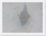 E1010226 * 614 x 461 * (57KB)