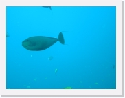 E110154 * 614 x 461 * (26KB)