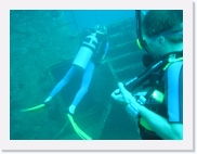 E110157 * 614 x 461 * (56KB)