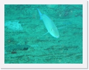 E110158 * 614 x 461 * (63KB)