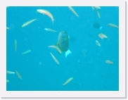 E110167 * 614 x 461 * (28KB)