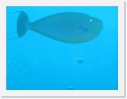 E110168 * 614 x 461 * (29KB)