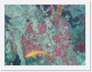 E110169 * 614 x 461 * (69KB)